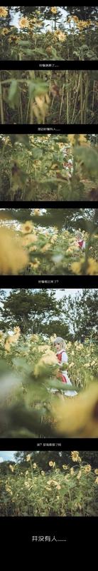 四季のフラワーマスター - 弥音音ww